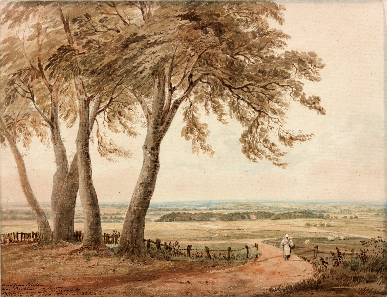 Surrey