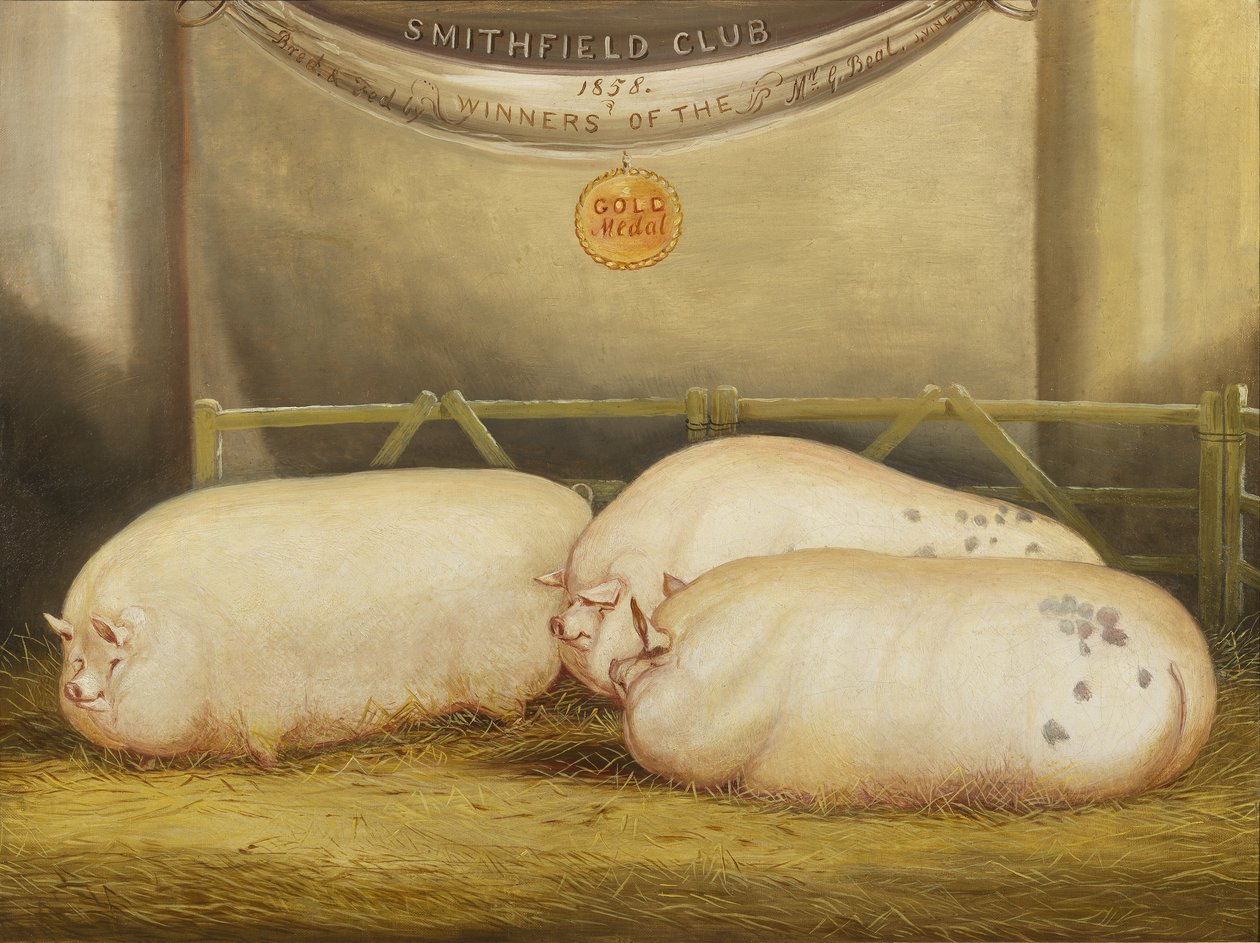 1858 Smithfield Club Christmas Show