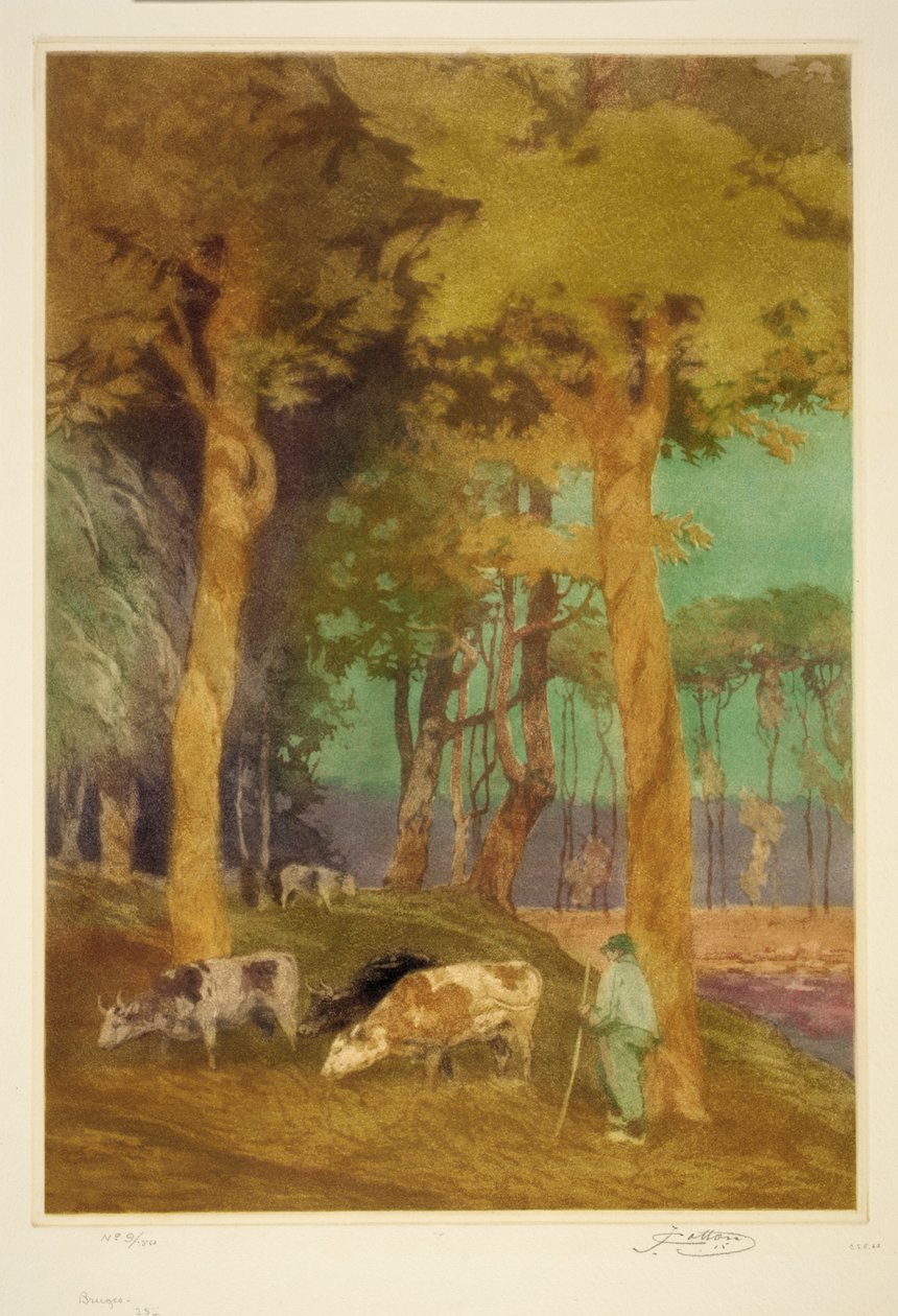  by John W. Cotton
