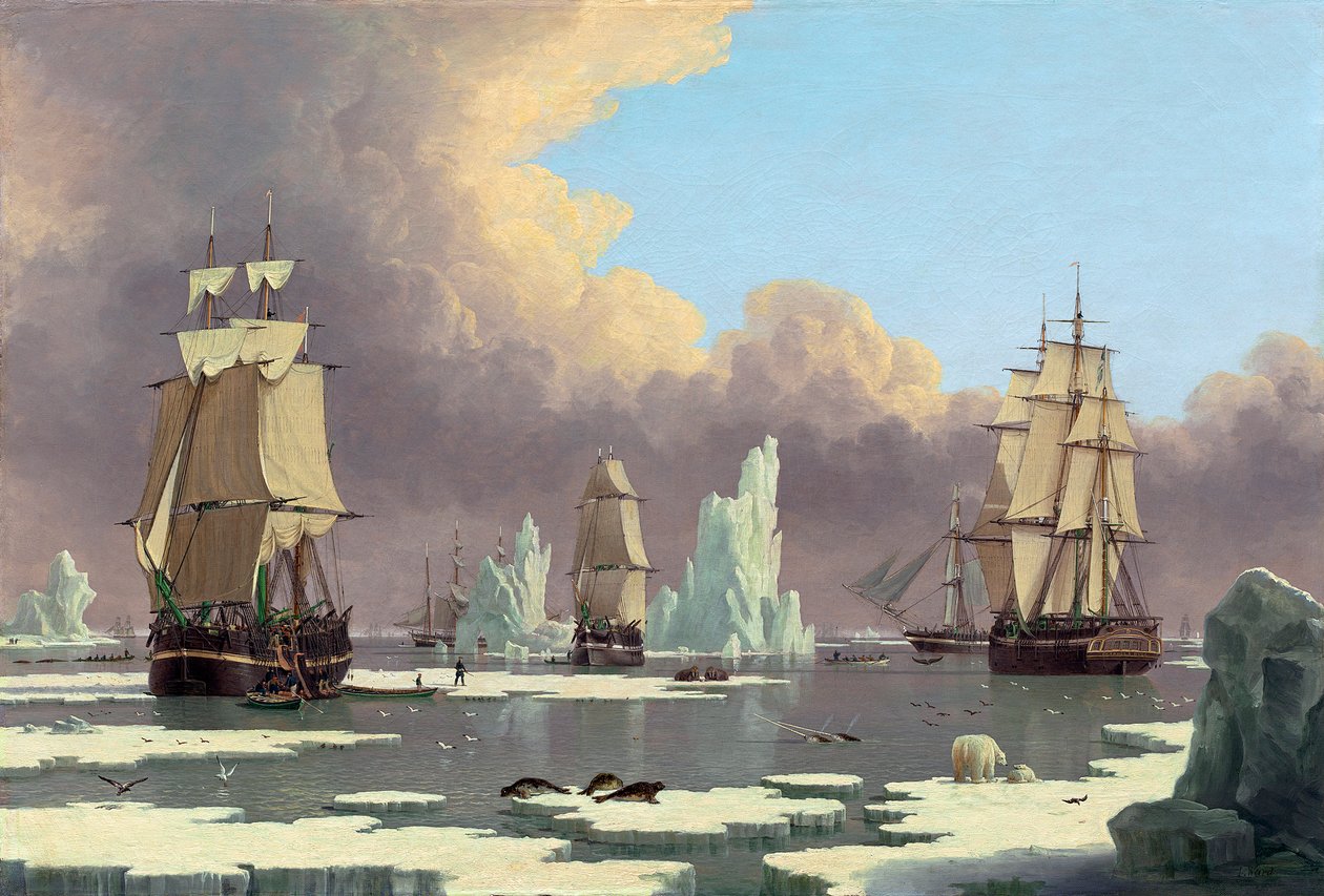 Kuzey Balina Balıkçılığı: Kuğu ve Isabella, c. 1840 by John Ward of Hull