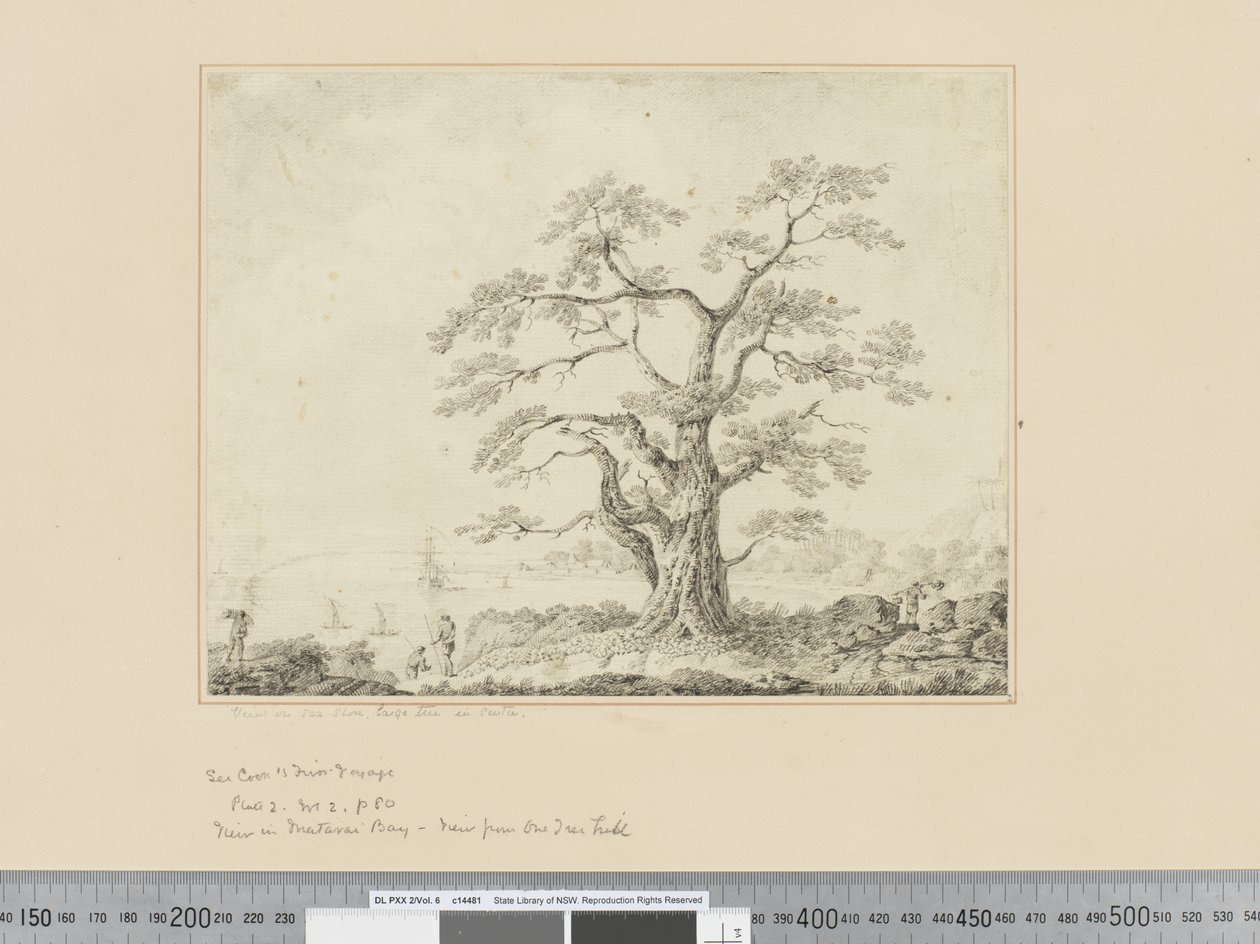 F.44 Deniz Kıyısında Manzara, merkezde büyük ağaç, c.1783-84 by John Webber