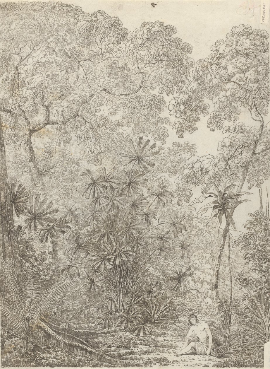 Cracatoa Yelpazesi by John Webber