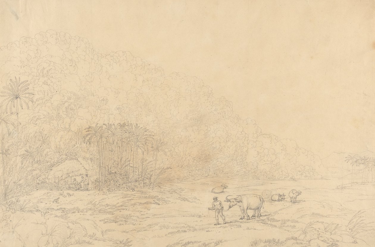 Pulo Condore Adası'nda Görüntüle by John Webber