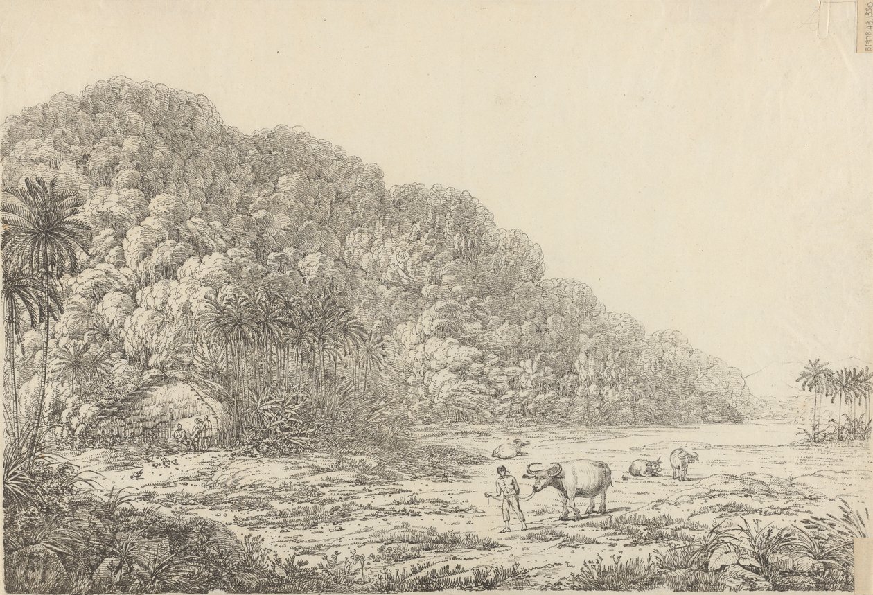 Pulo Condore Adası'nda Görüntüle by John Webber