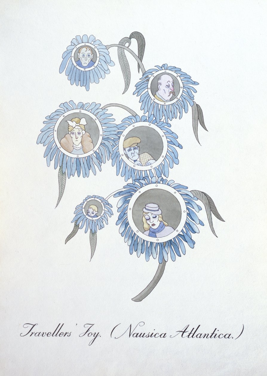 Gezginlerin Sevinci (Nausica Atlantica.), John Weir