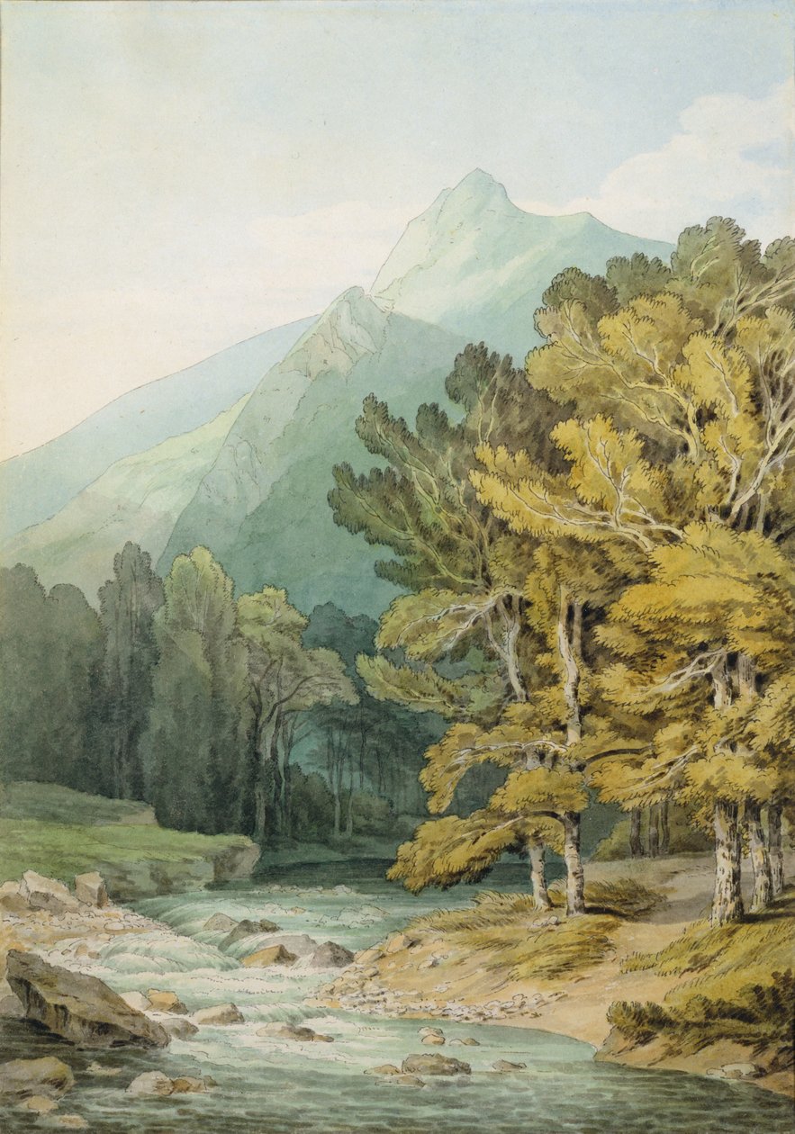 Holne Chase