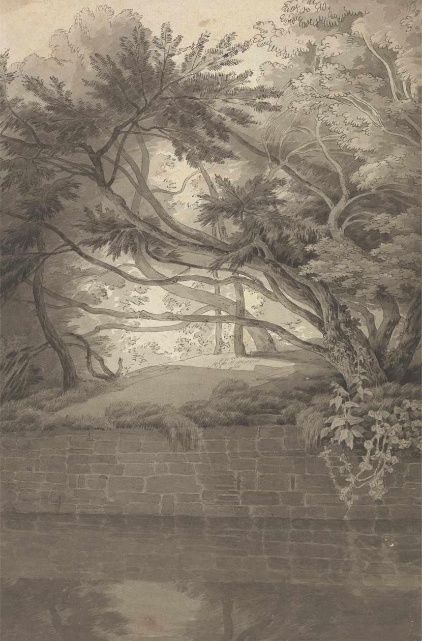 Göl Sarkan Ağaçlar by John White Abbott