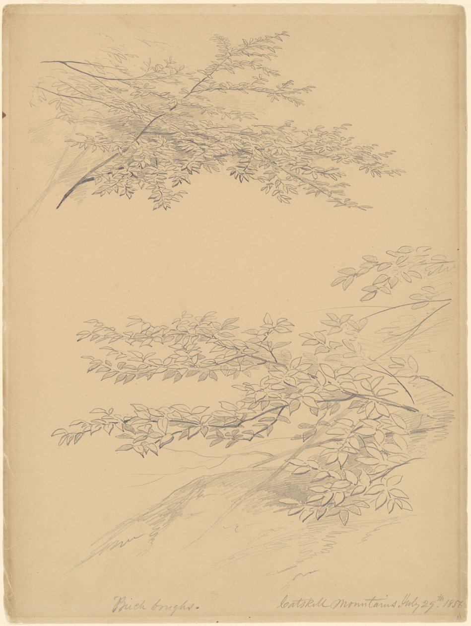 Huş Dalları, Catskill Dağları by John William Casilear
