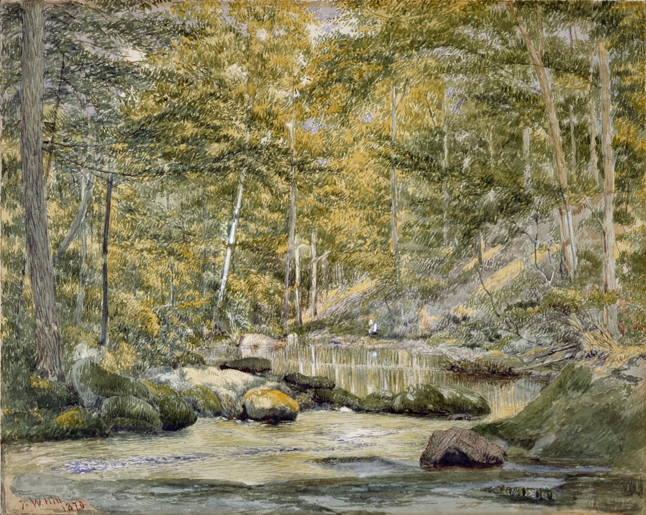 Woodland Pool with Men Fishing, 1870 (kağıt üzerinde wc) by John William Hill