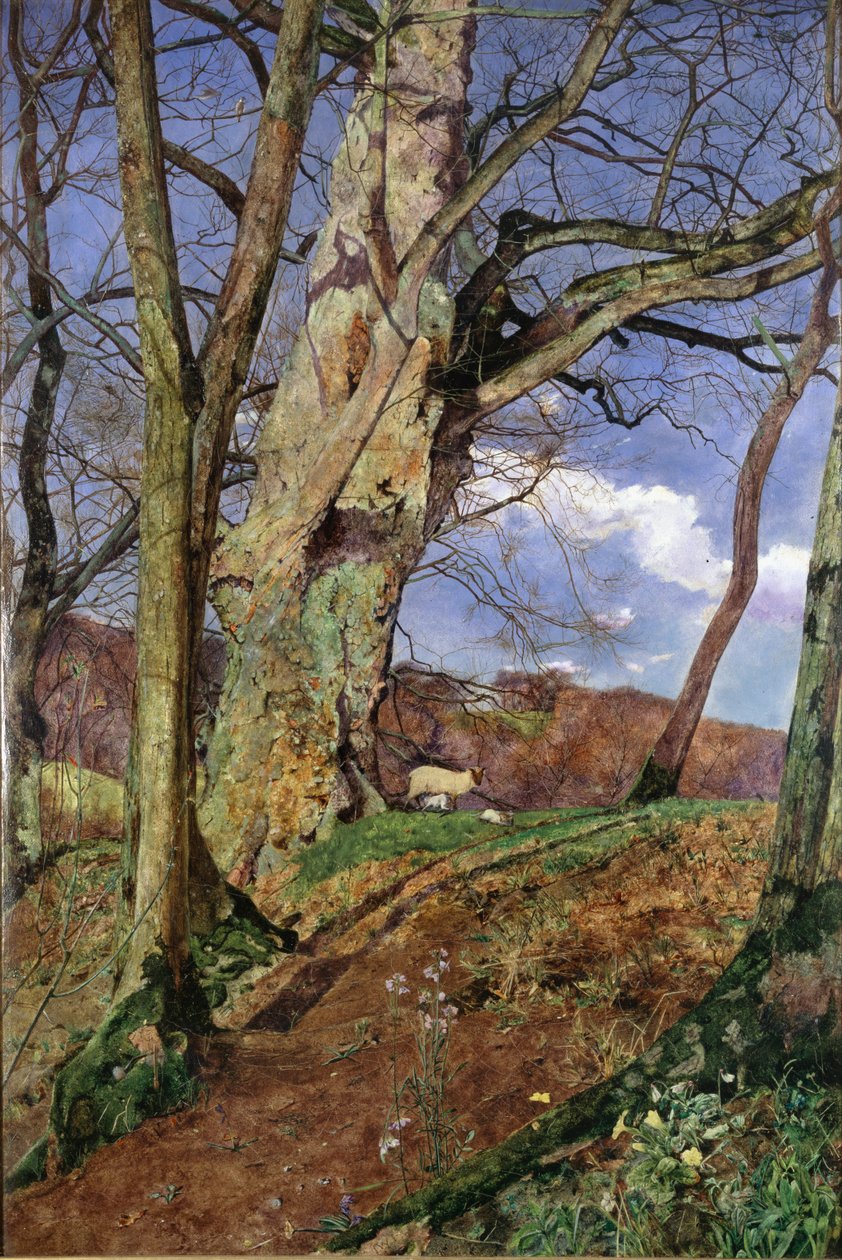 A Study, Mart ayında, 1855