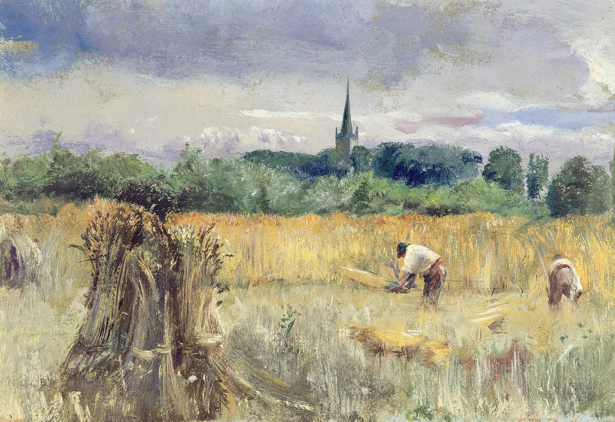 Hasat Alanı, Stratford-upon-Avon (tuval üzerine yağlı boya) by John William Inchbold