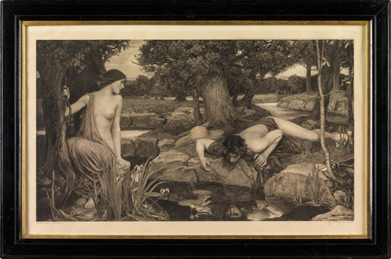 Echo ve Narcissus (fotogravür) by John William Waterhouse