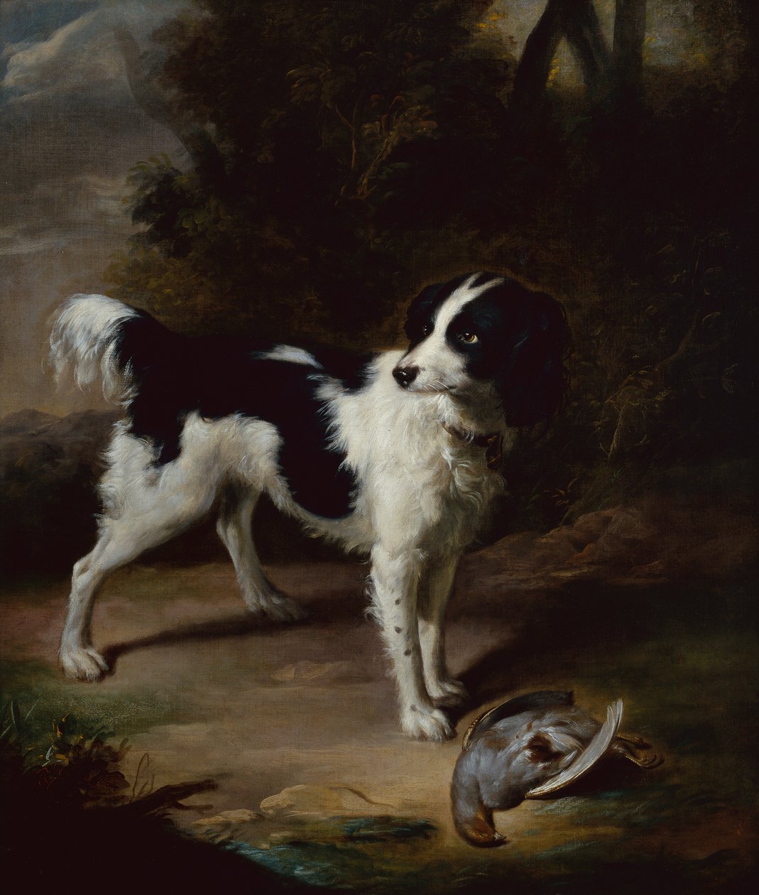 Peyzajda Ölü Keklik Olan Siyah Beyaz Bir Springer Spaniel (petrol) by John Wootton