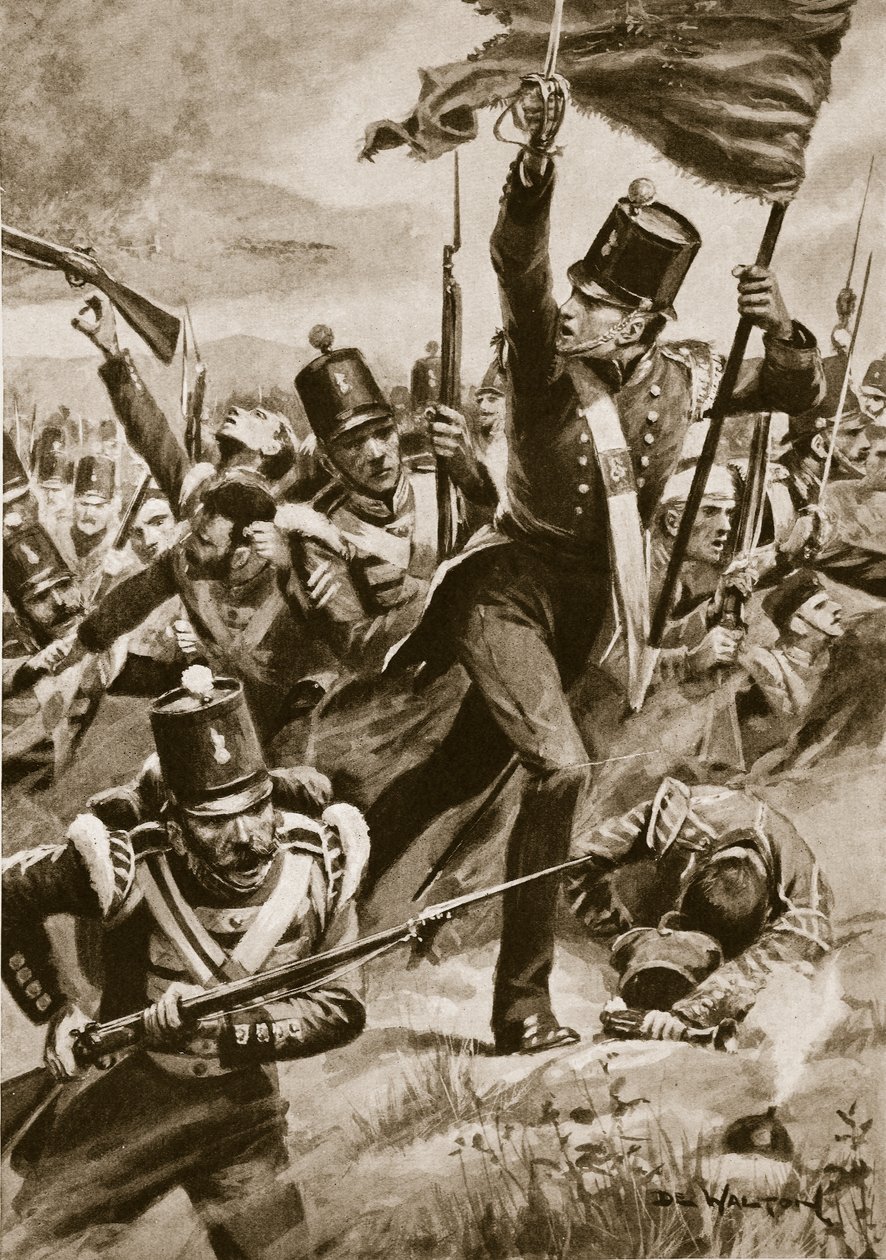 Işık Tümeni