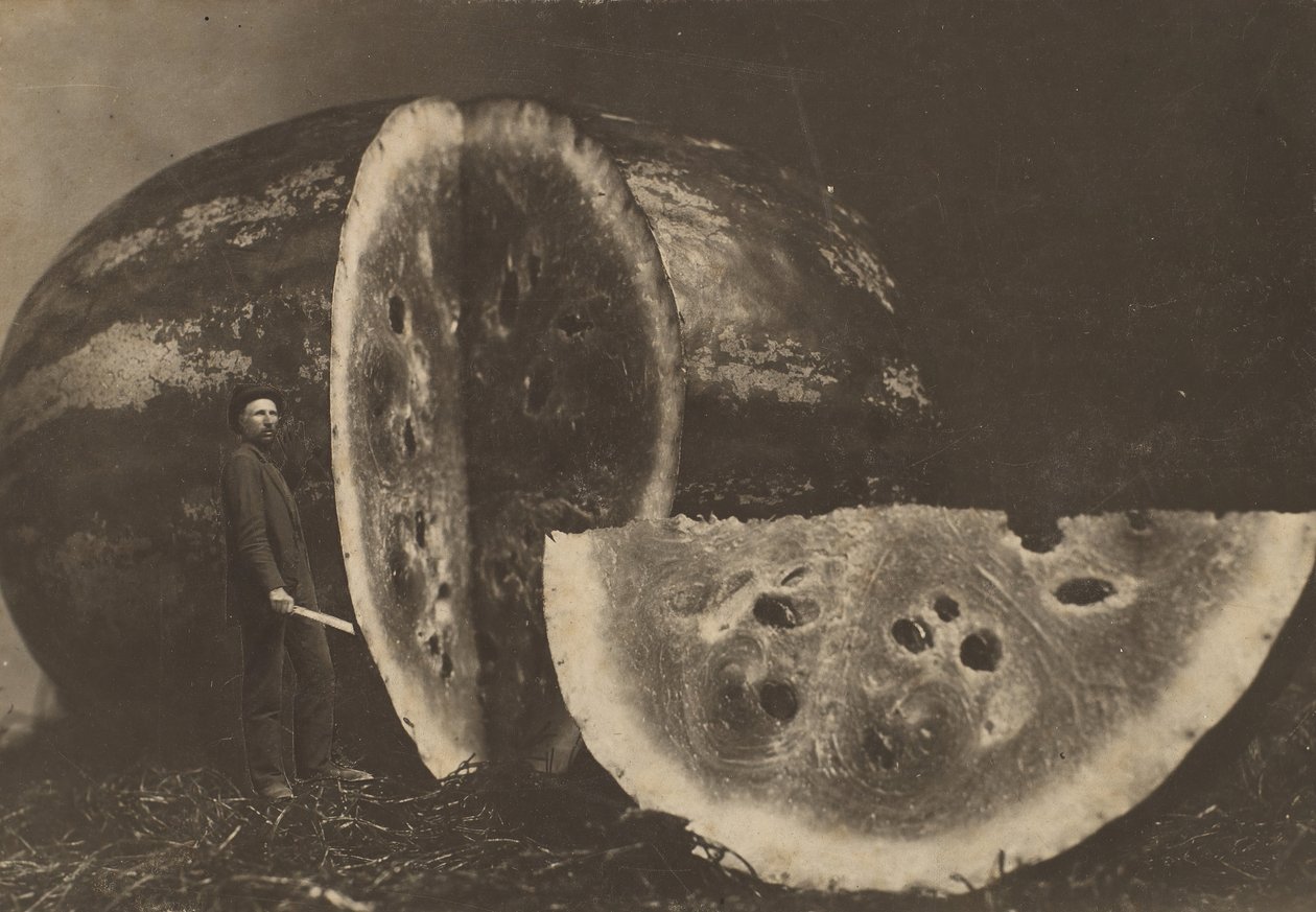 Adam Kesen Karpuz, 1898-1903. by Johnson