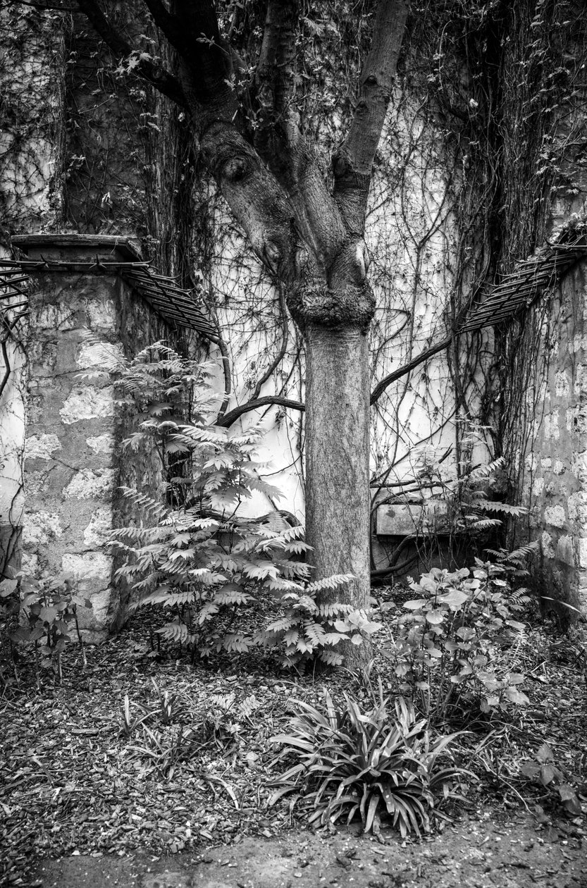  by Jon Nicholson