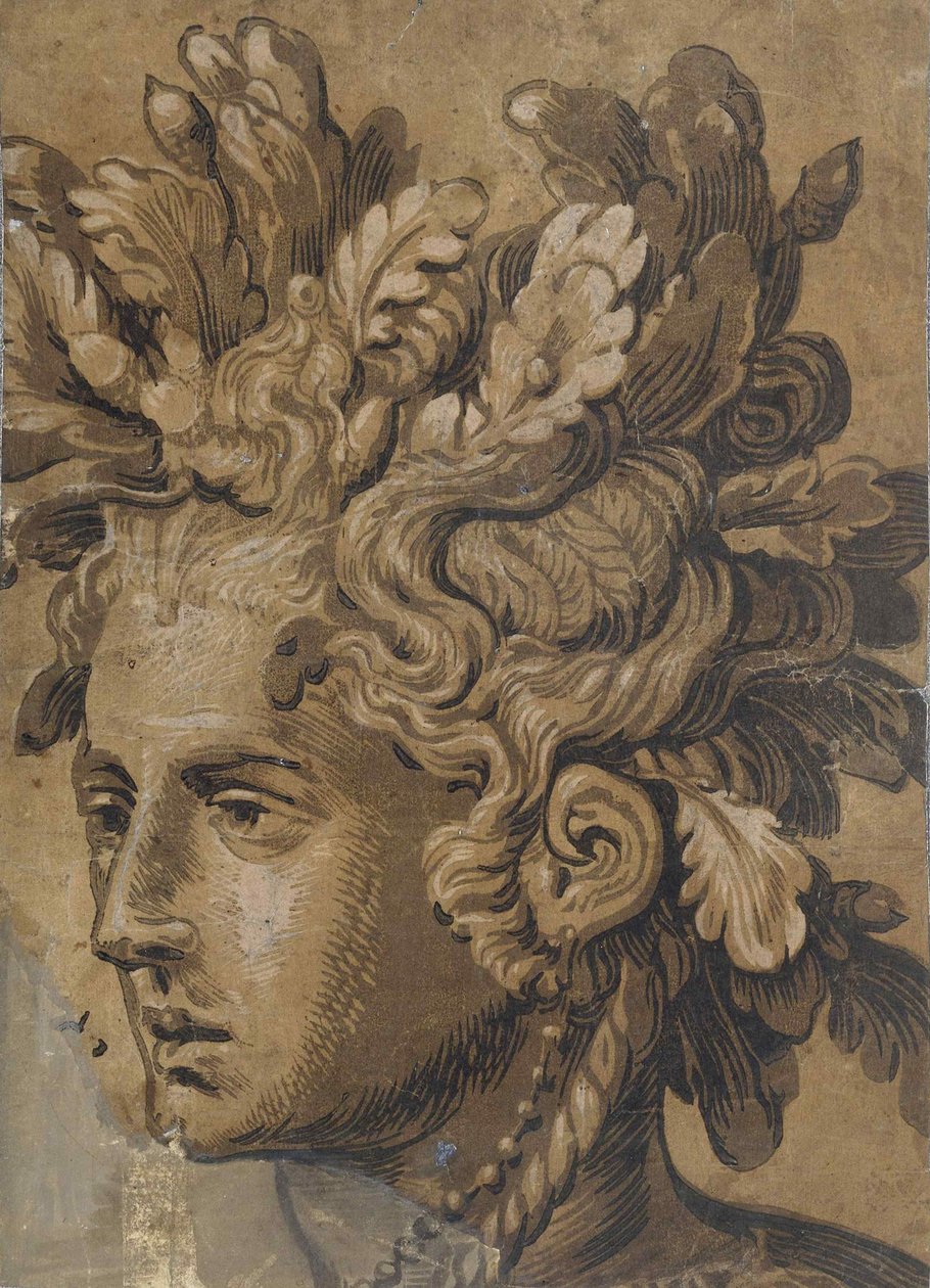 Frans Floris