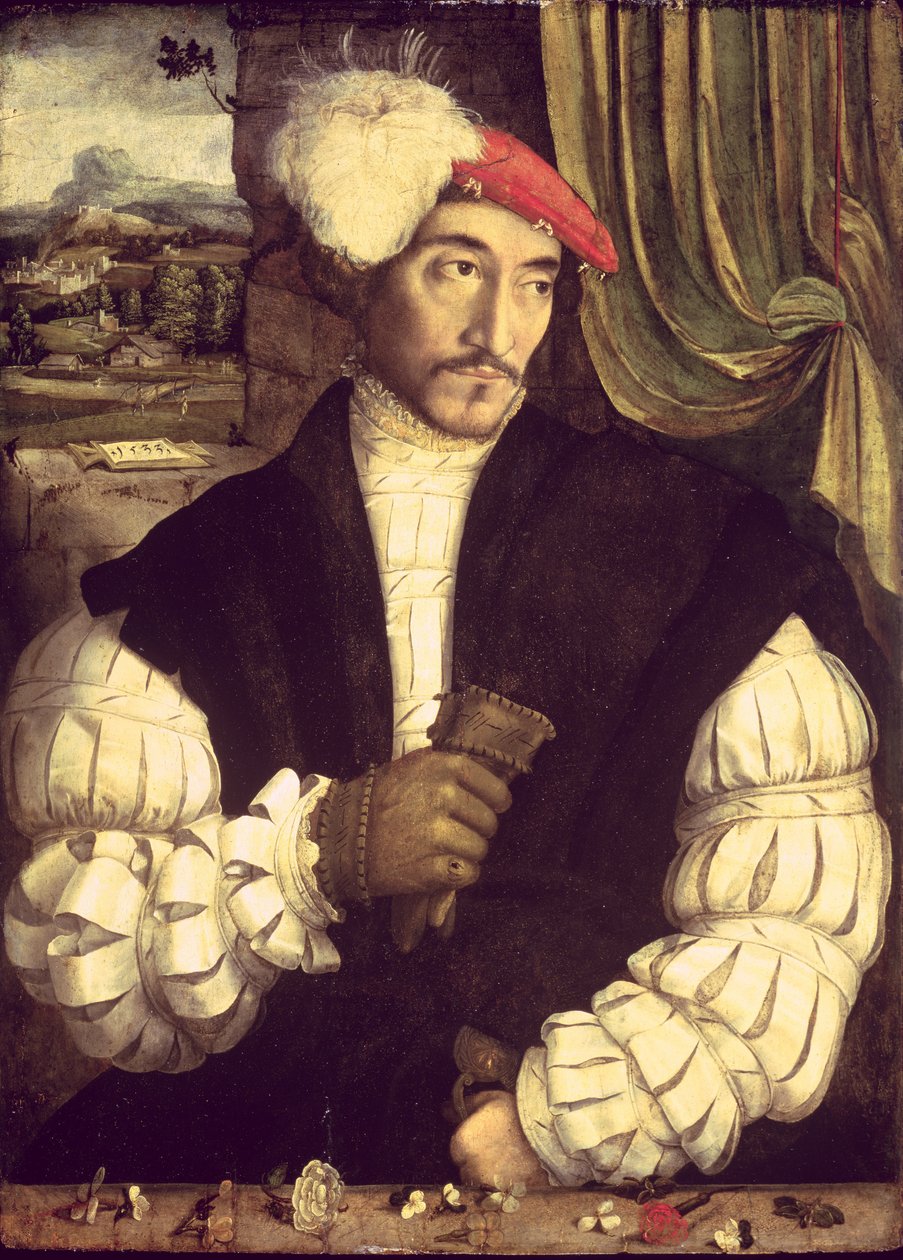 Bir Adamın Portresi, 1533 by Jorg I Breu
