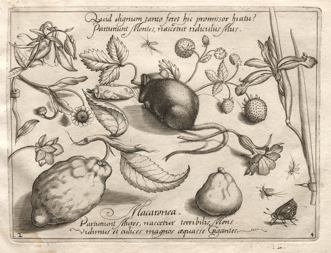 Arketipler ve Çalışmalar: Böyle büyük bir vaadine uygun olarak ne ortaya çıkabilir, 1592. by Joris Hoefnagel