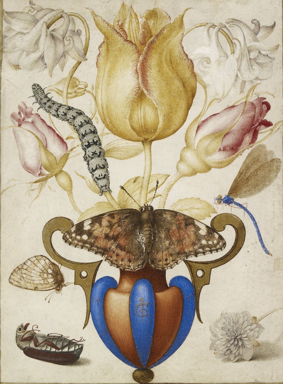 Vazoda Çiçekler Aranjmanı, Böcekli, 1594 (Parşömen üzeri altın ile suluboya) by Joris Hoefnagel