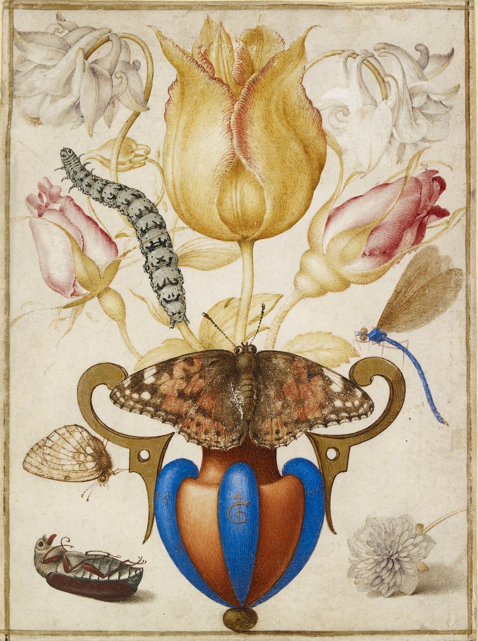 Vazoda Çiçek Aranjmanı, Böcekli, 1594 by Joris Hoefnagel