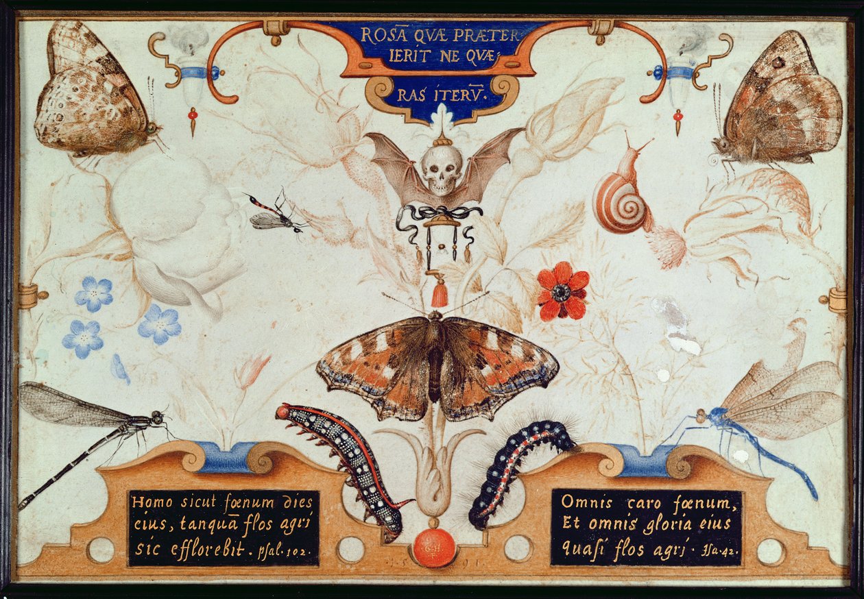 Çiçekler ve böceklerle iki parçalı tablo, 1591 (panelde maruflaj ve parşömen) by Joris Hoefnagel