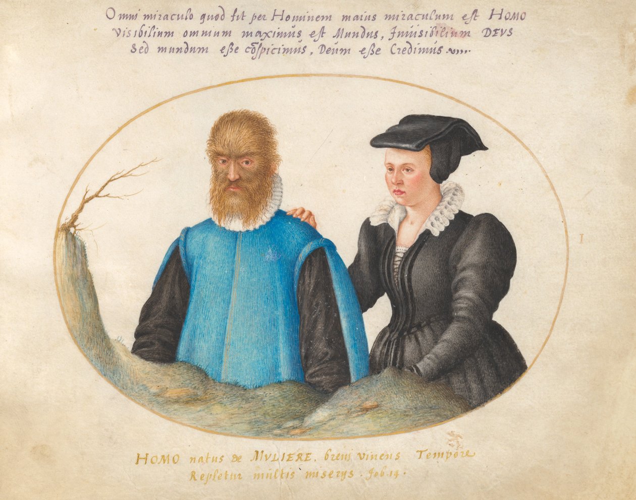 Plaka 1: Pedro González (Petrus Gonsalvus) ve Karısı Catherine by Joris Hoefnagel
