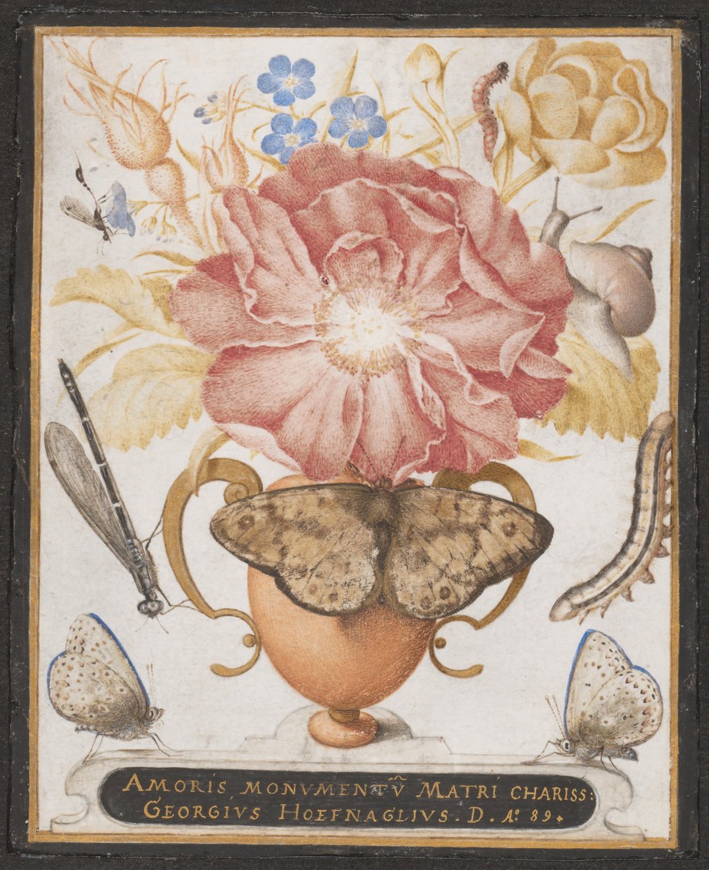 Çiçekler, Salyangoz ve Böceklerle Natürmort, 1589. by Joris Hoefnagel