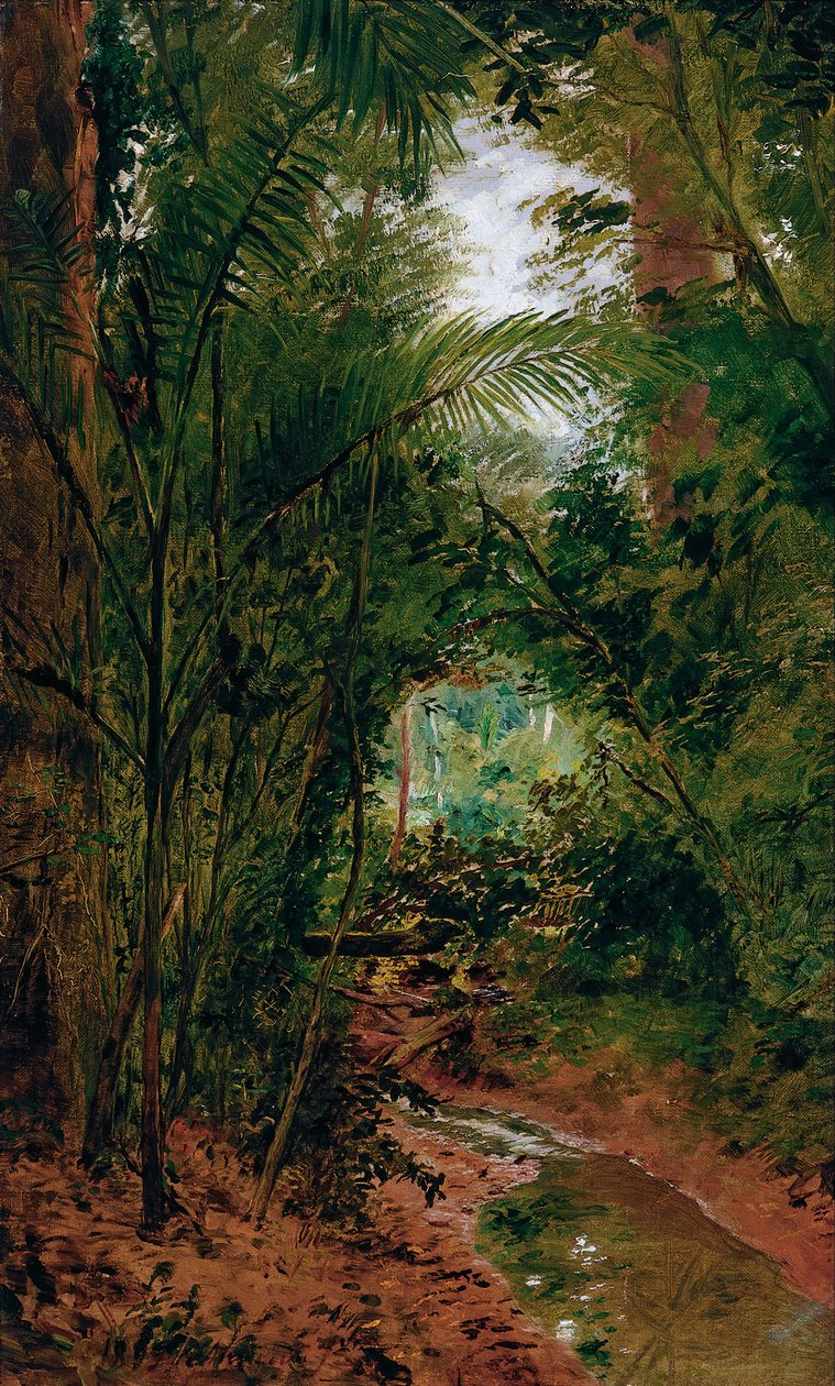 Rio das Pedras