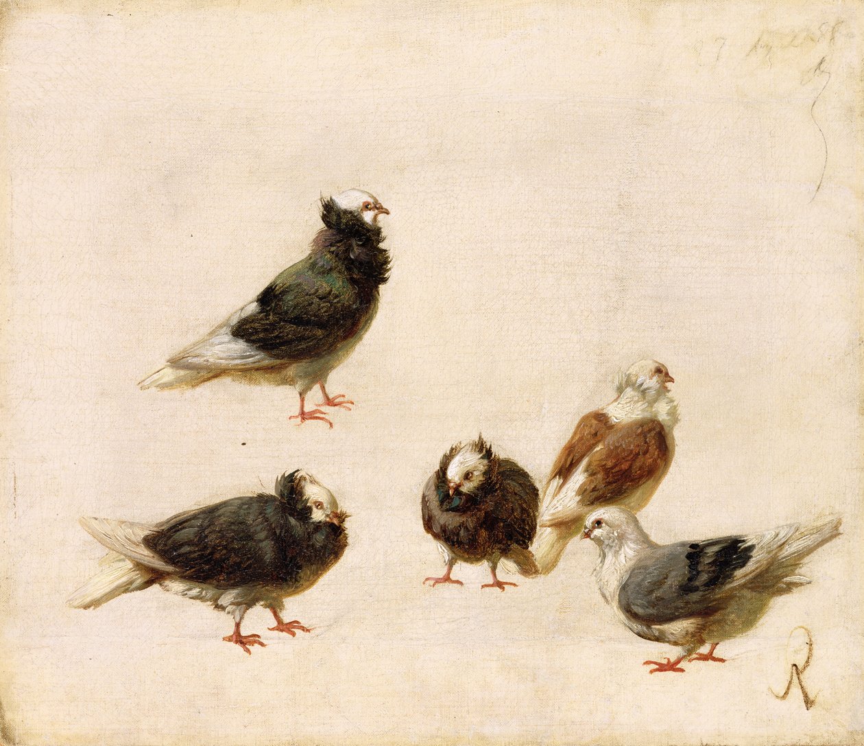 güvercinler, 1888 by Jose Ruiz Blasco