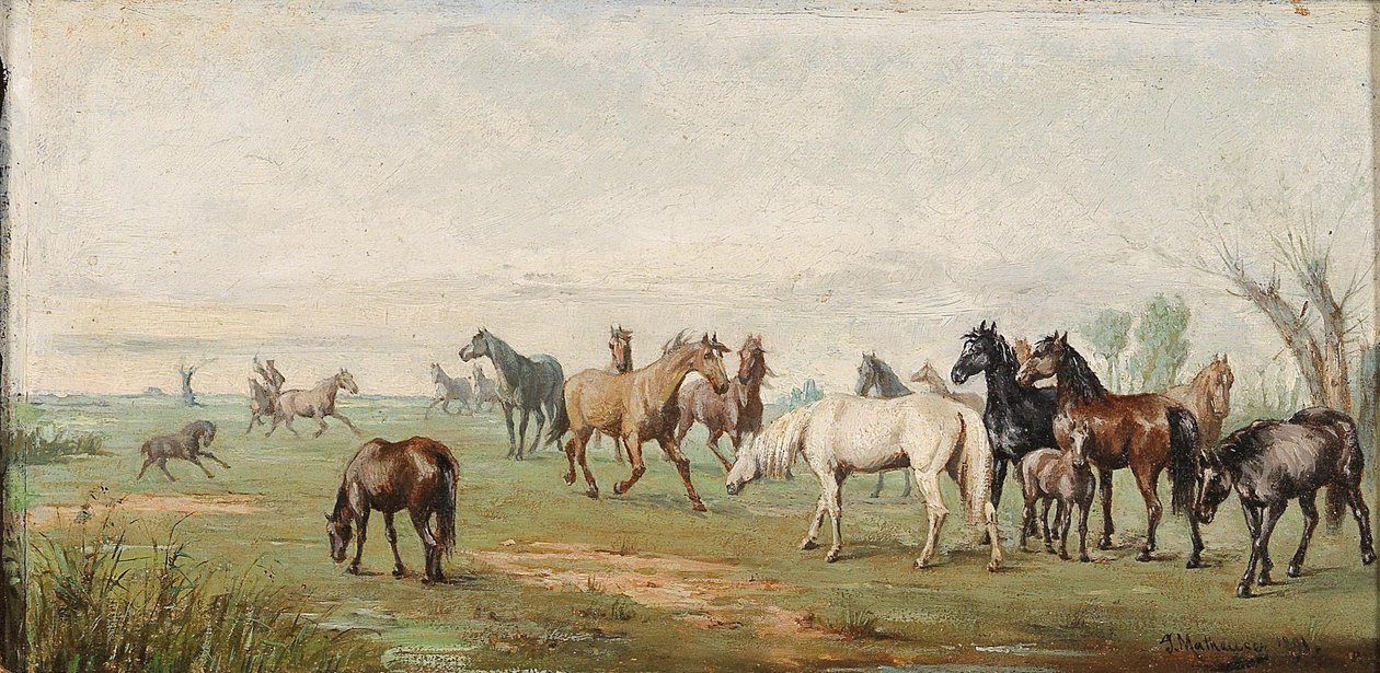 Çoban ile at sürüsü by Josef Mathauser