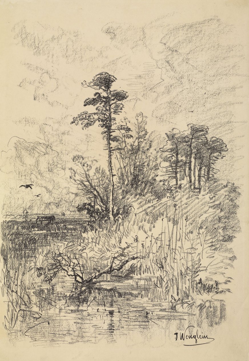 Nehir Manzarası by Josef Wenglein