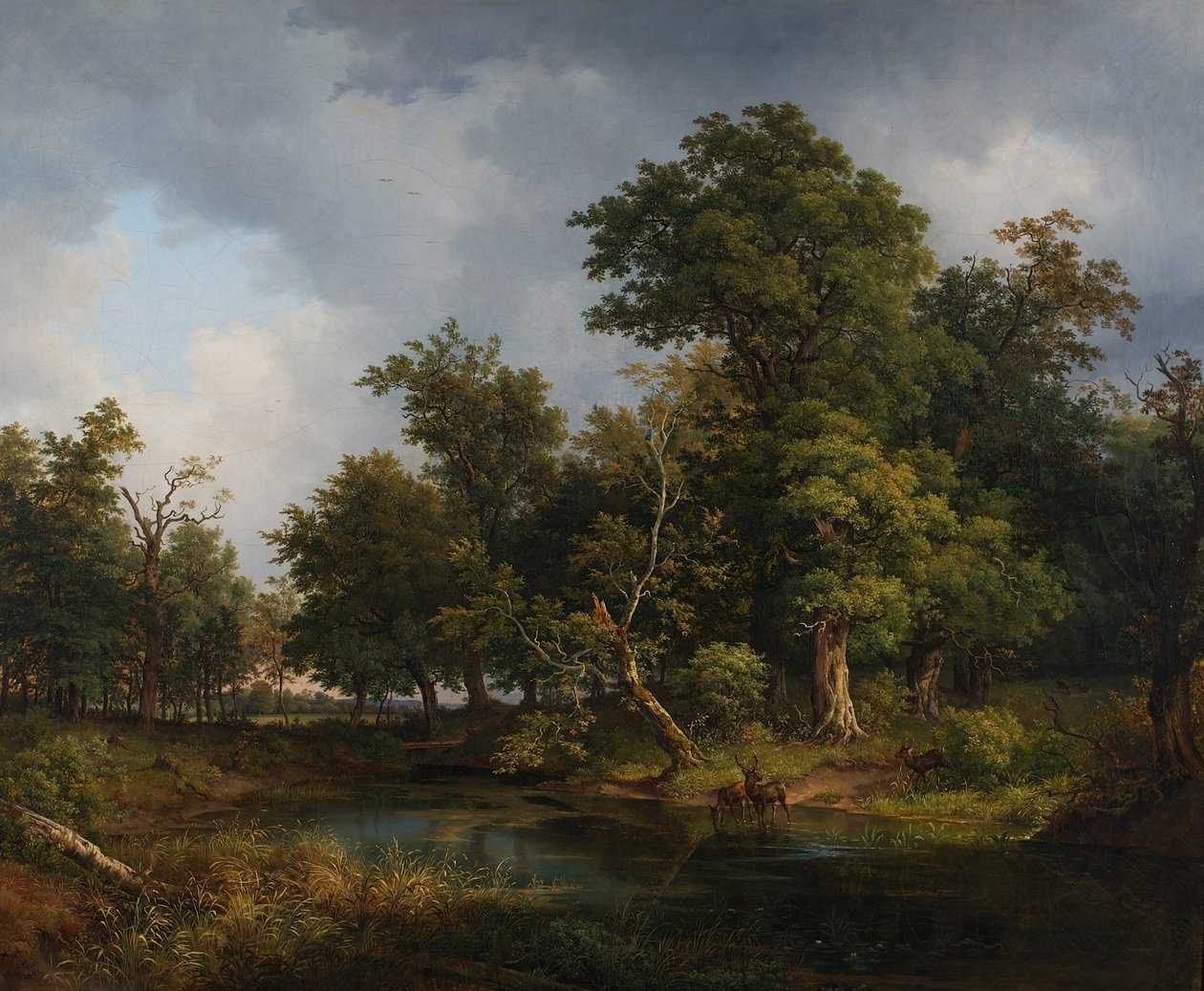 orman manzarası by Josef Feid