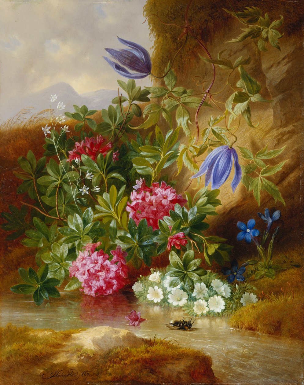 Alpenblum, by Josef Schuster