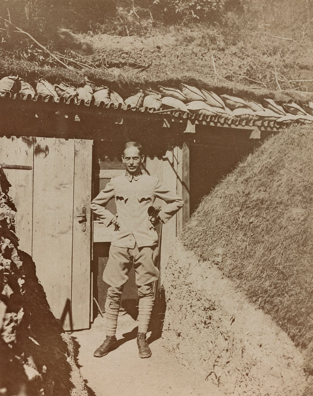Albüm Meine weltkriegs - Erinnerungen Güney-Batı Cephesi (Karintiya, İtalya, Güney Tirol) (Dünya savaşım - Karintiya, İtalya, Trentino-Alto Adige