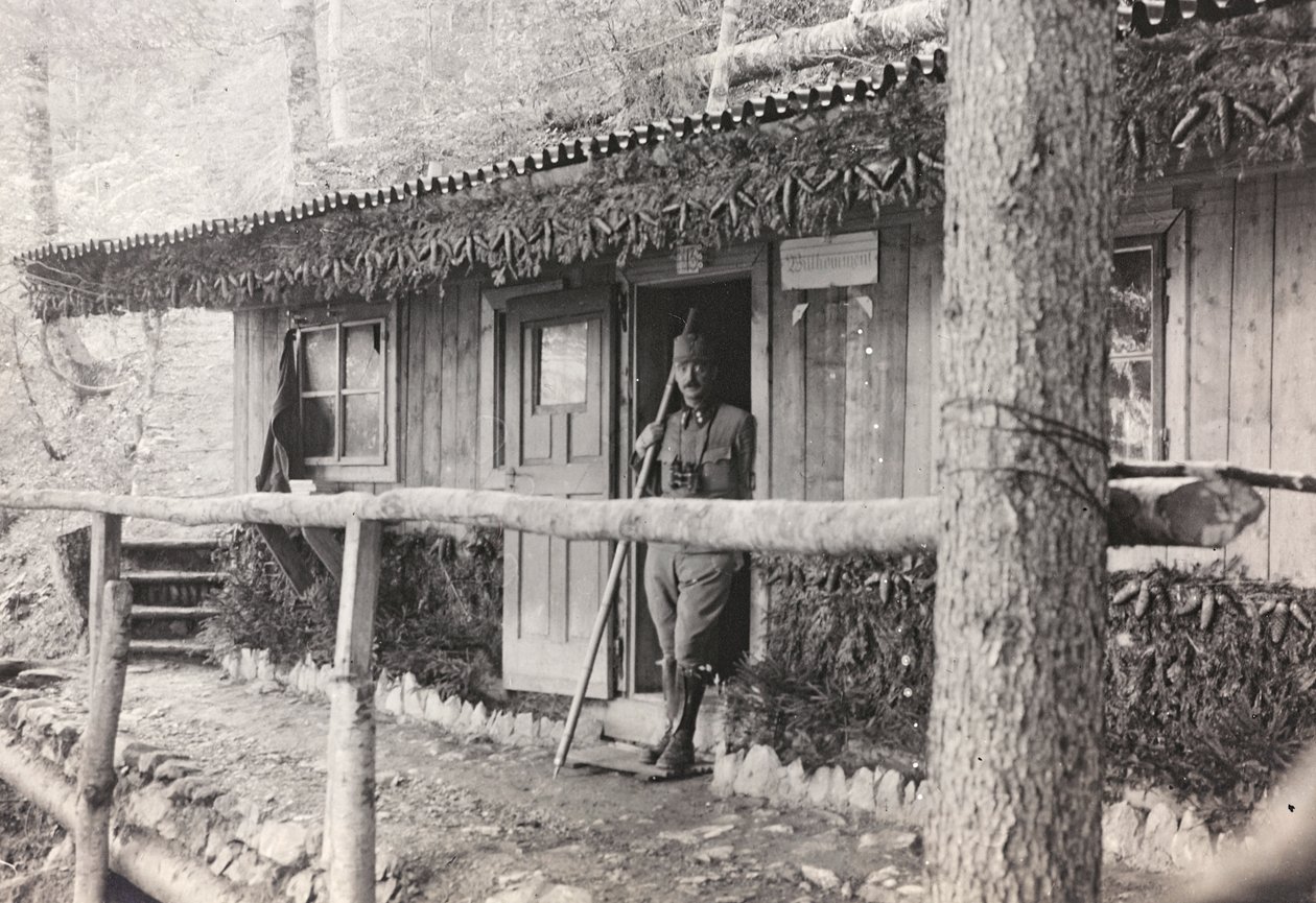 Albüm "Meine weltkriegs - Erinnerungen Güney-Batı Cephesi (Karintiya, İtalya, Güney Tirol) (Dünya savaşım - Karintiya, İtalya, Trentino-Alto Adige