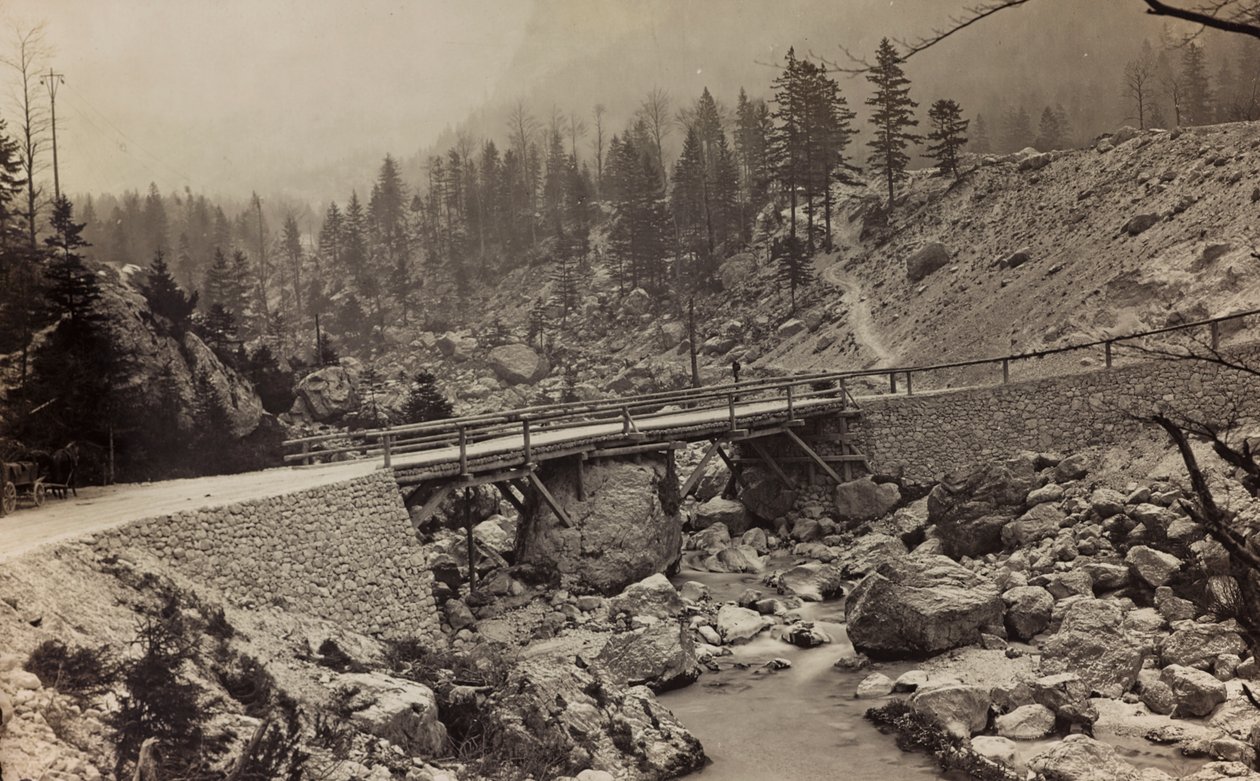 Albüm "Meine weltkriegs - Erinnerungen Güney-Batı Cephesi (Karintiya, İtalya, Güney Tirol) (Dünya savaşım - Karintiya, İtalya, Trentino-Alto Adige