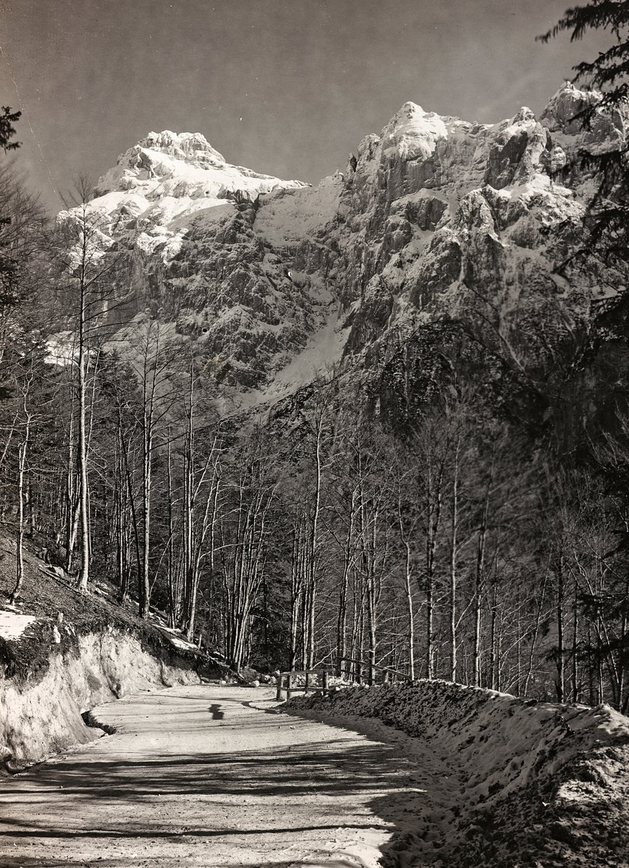 Albüm "Meine weltkriegs - Erinnerungen Güney-Batı Cephesi (Karintiya, İtalya, Güney Tirol) (Dünya savaşım - Karintiya, İtalya, Trentino-Alto Adige