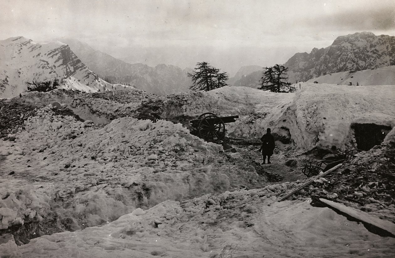 Albüm "Meine weltkriegs - Erinnerungen Güney-Batı Cephesi (Karintiya, İtalya, Güney Tirol) (Dünya savaşım - Karintiya, İtalya, Trentino-Alto Adige