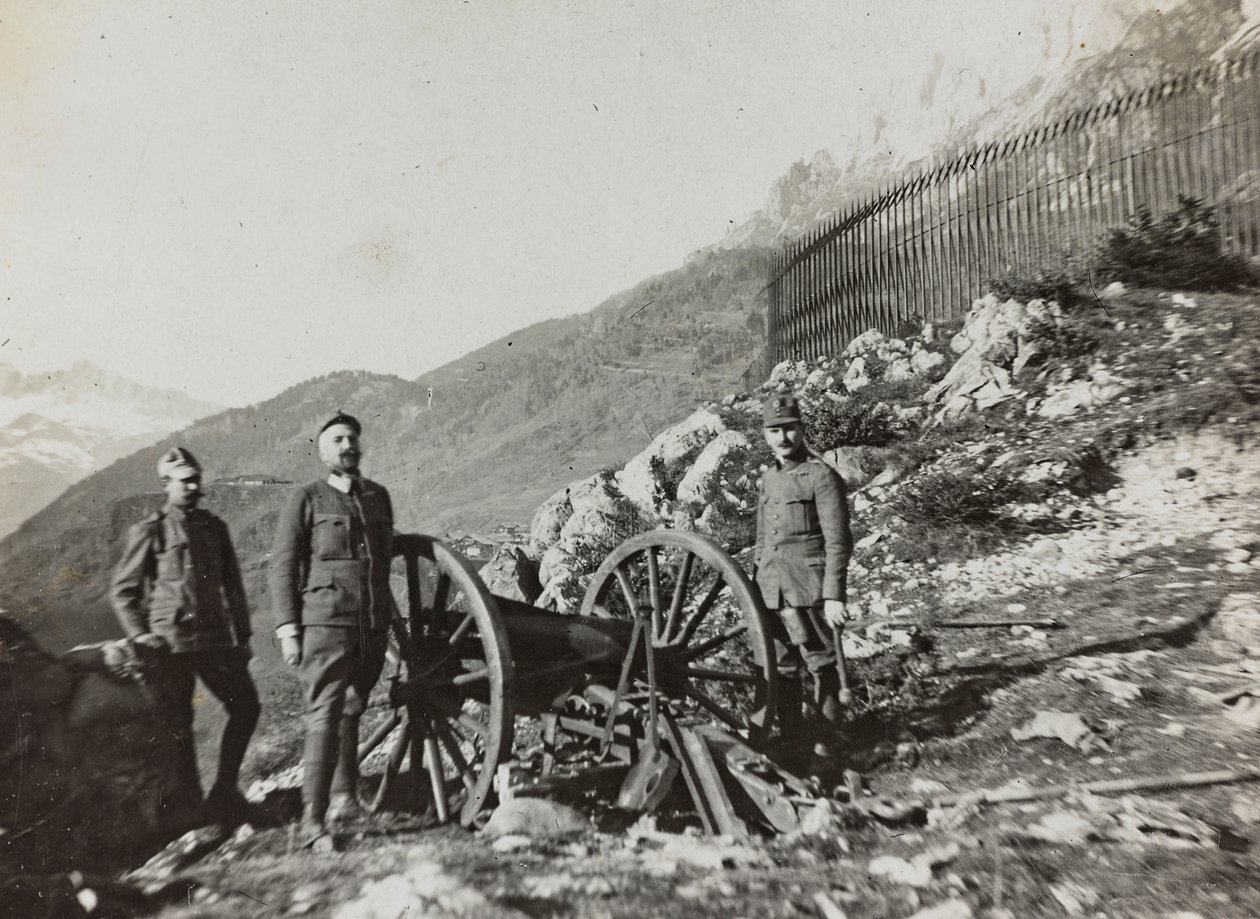 Albüm "Meine weltkriegs - Erinnerungen Güney-Batı Cephesi (Karintiya, İtalya, Güney Tirol) (Dünya savaşım - Karintiya, İtalya, Trentino-Alto Adige