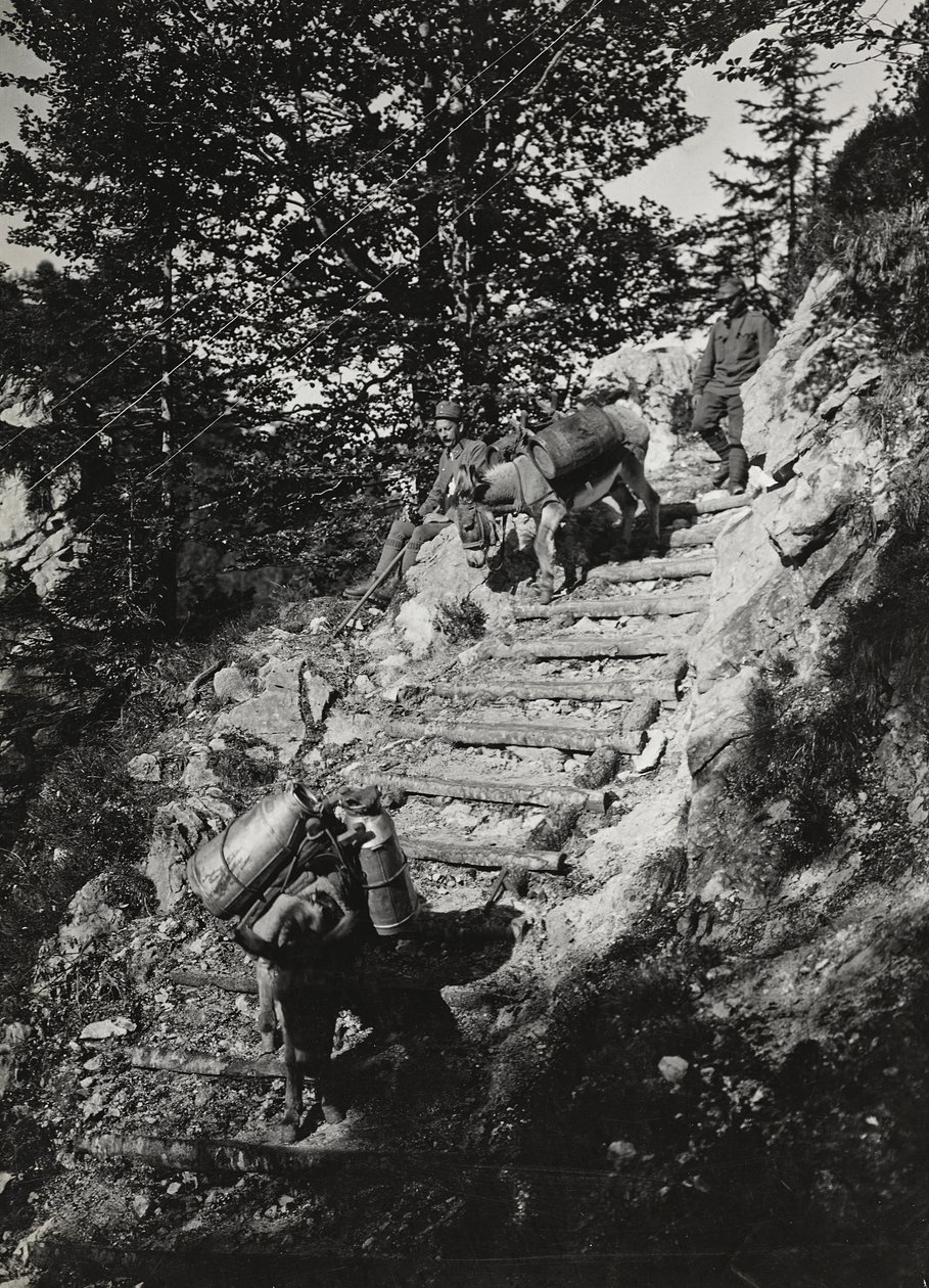 Albüm "Meine weltkriegs - Erinnerungen Güney-Batı Cephesi (Karintiya, İtalya, Güney Tirol) (Dünya savaşım - Karintiya, İtalya, Trentino-Alto Adige