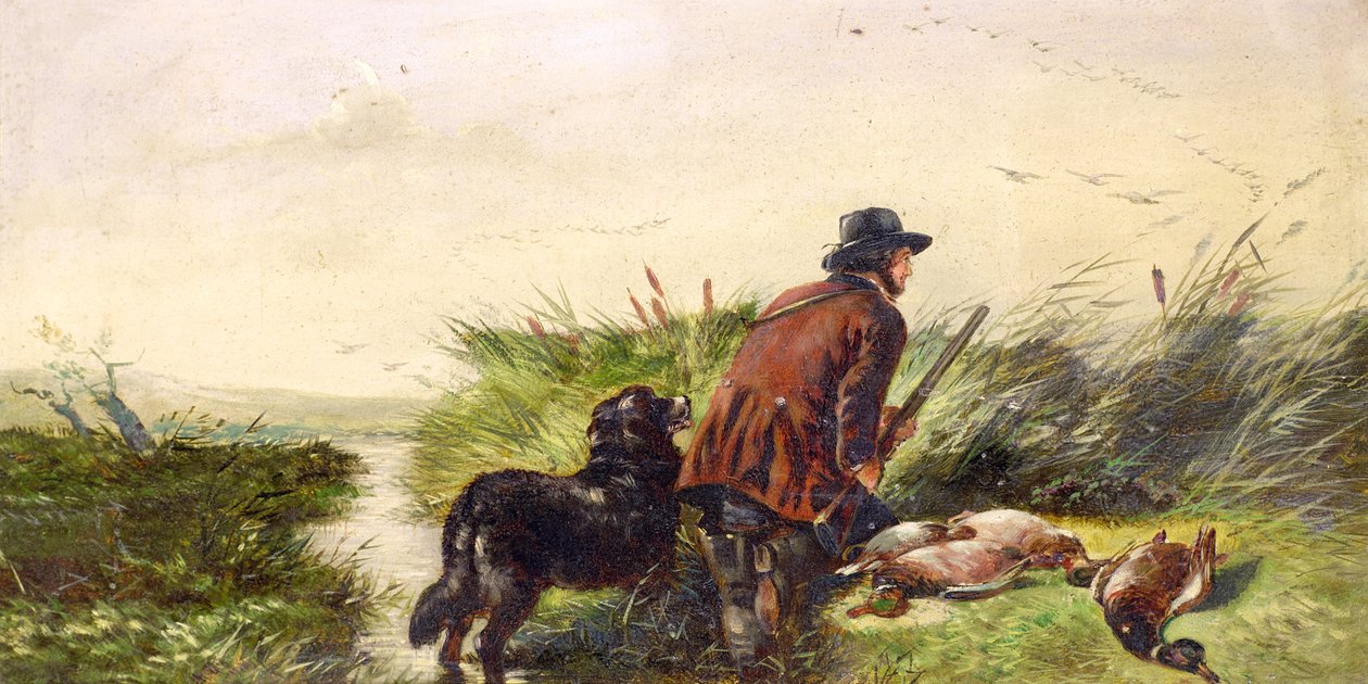 Richard Ansdell'in (1815-85) bir tablosundan sonra uçan ördekler by Joseph Bensted
