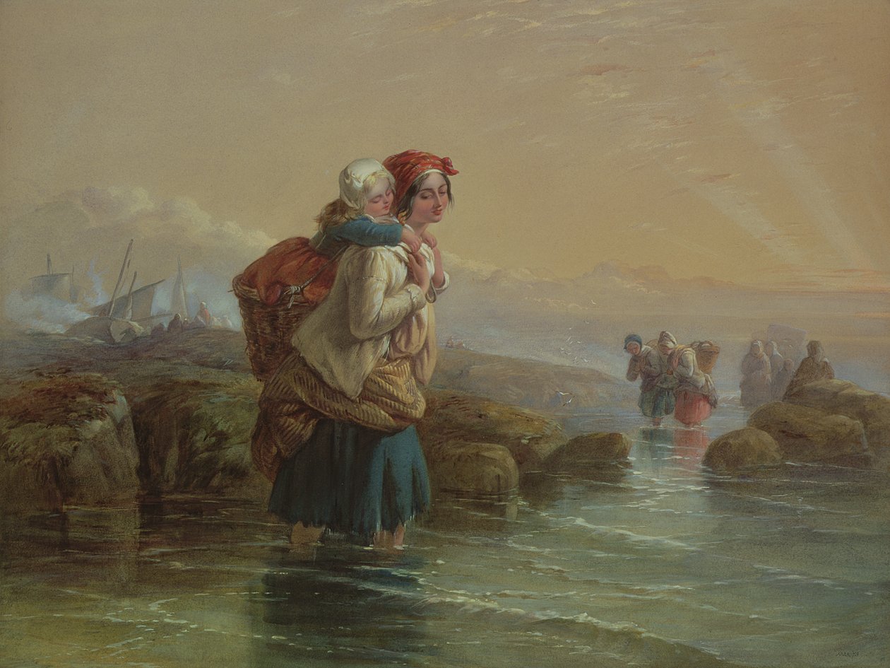 Karidesler, 19. yüzyıl by Joseph John Jenkins