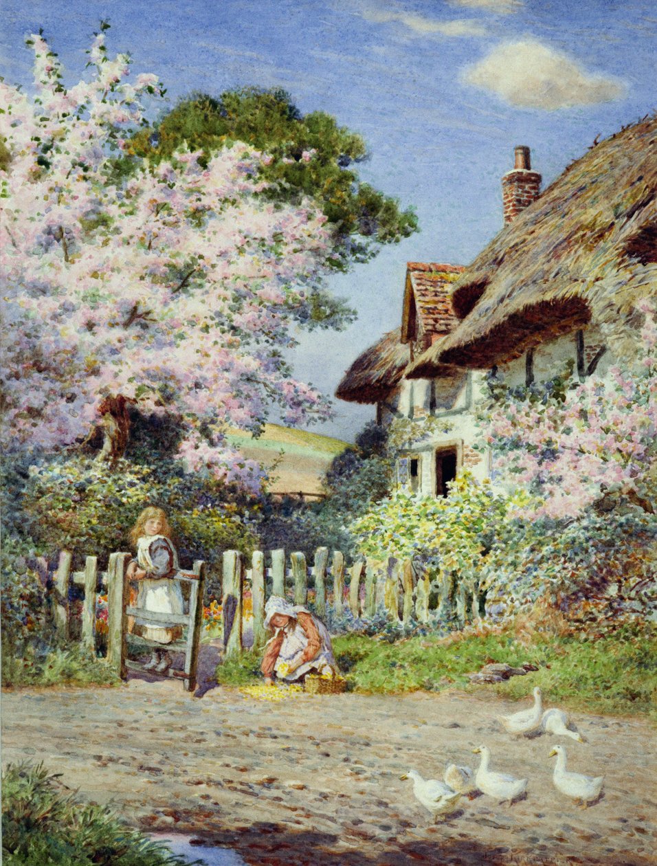 çiçek zamanı by Joseph Kirkpatrick