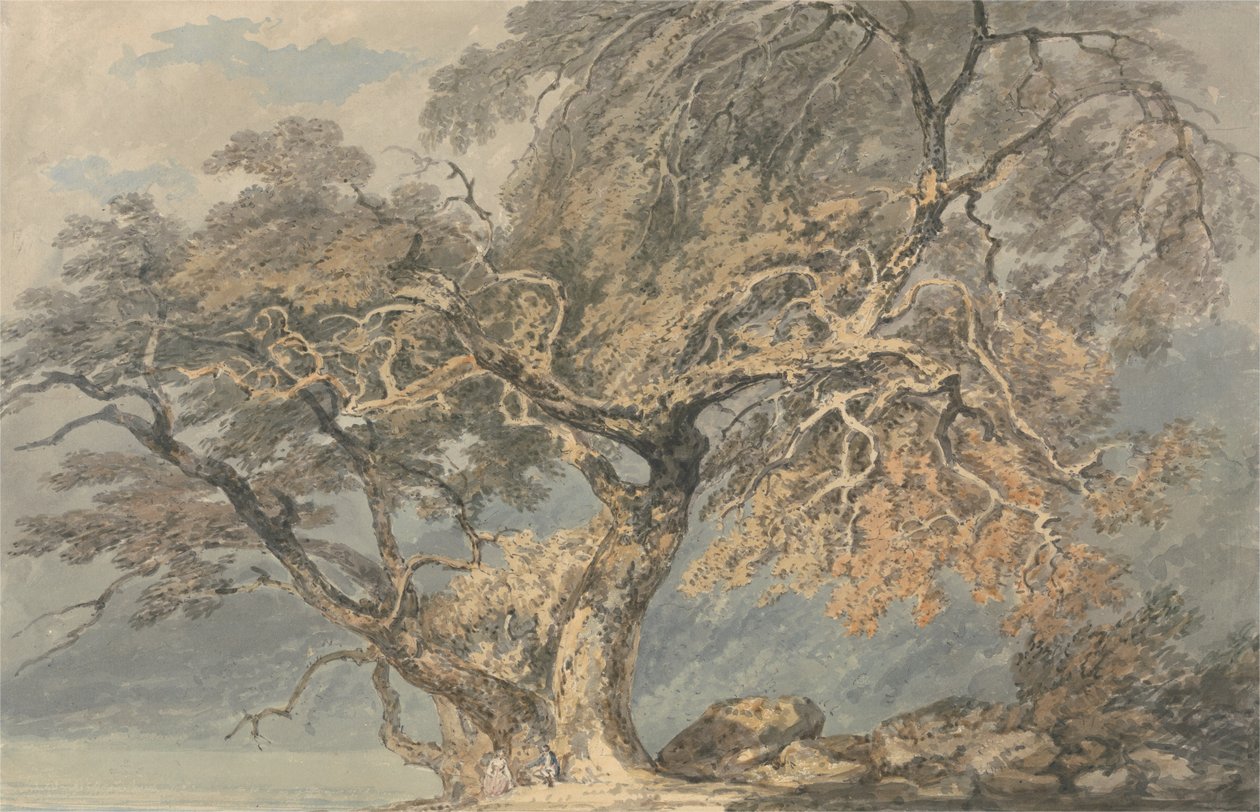 Büyük Bir Ağaç by Joseph Mallord William Turner