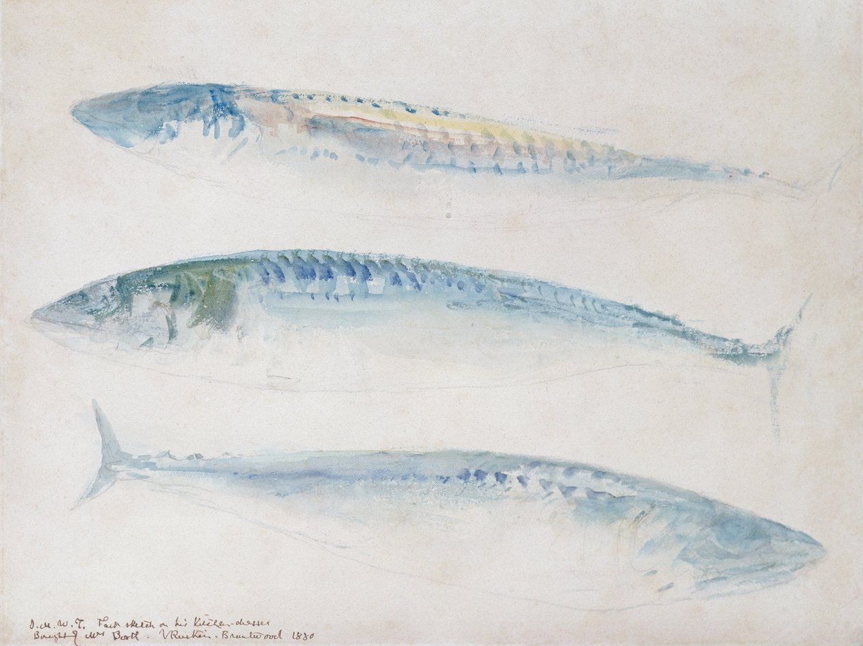 Üç Uskumru Kroki (kağıt üzerinde wc ve kalem) by Joseph Mallord William Turner