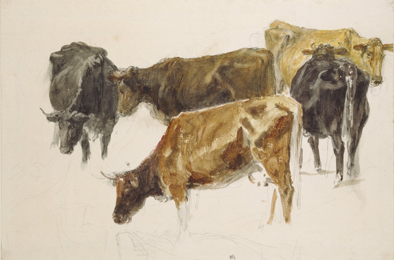 Bir İnek Grubu Çalışması, c. 1801 (dokuma kağıt üzerine grafit üzerine sulu boya, biraz çizik ile) by Joseph Mallord William Turner