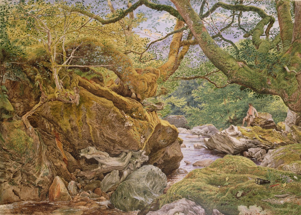 ಪ್ರಕೃತಿಯಿಂದ ಅಧ್ಯಯನ: ಇನ್ವೆರುಗ್ಲಾಸ್, 1857 ಟರ್ಕ್ by Joseph Noel Paton
