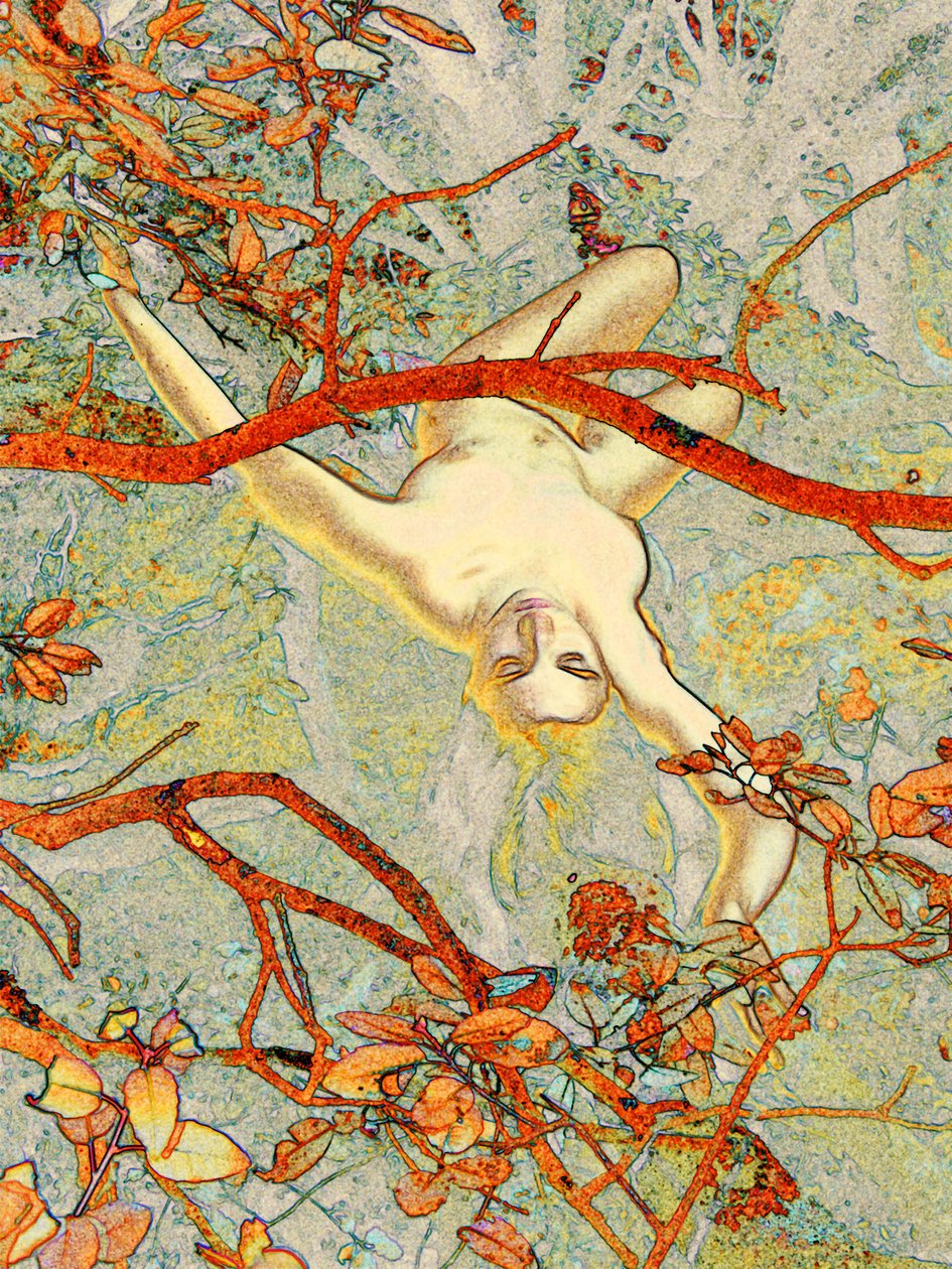 Alice Cévennes 2
