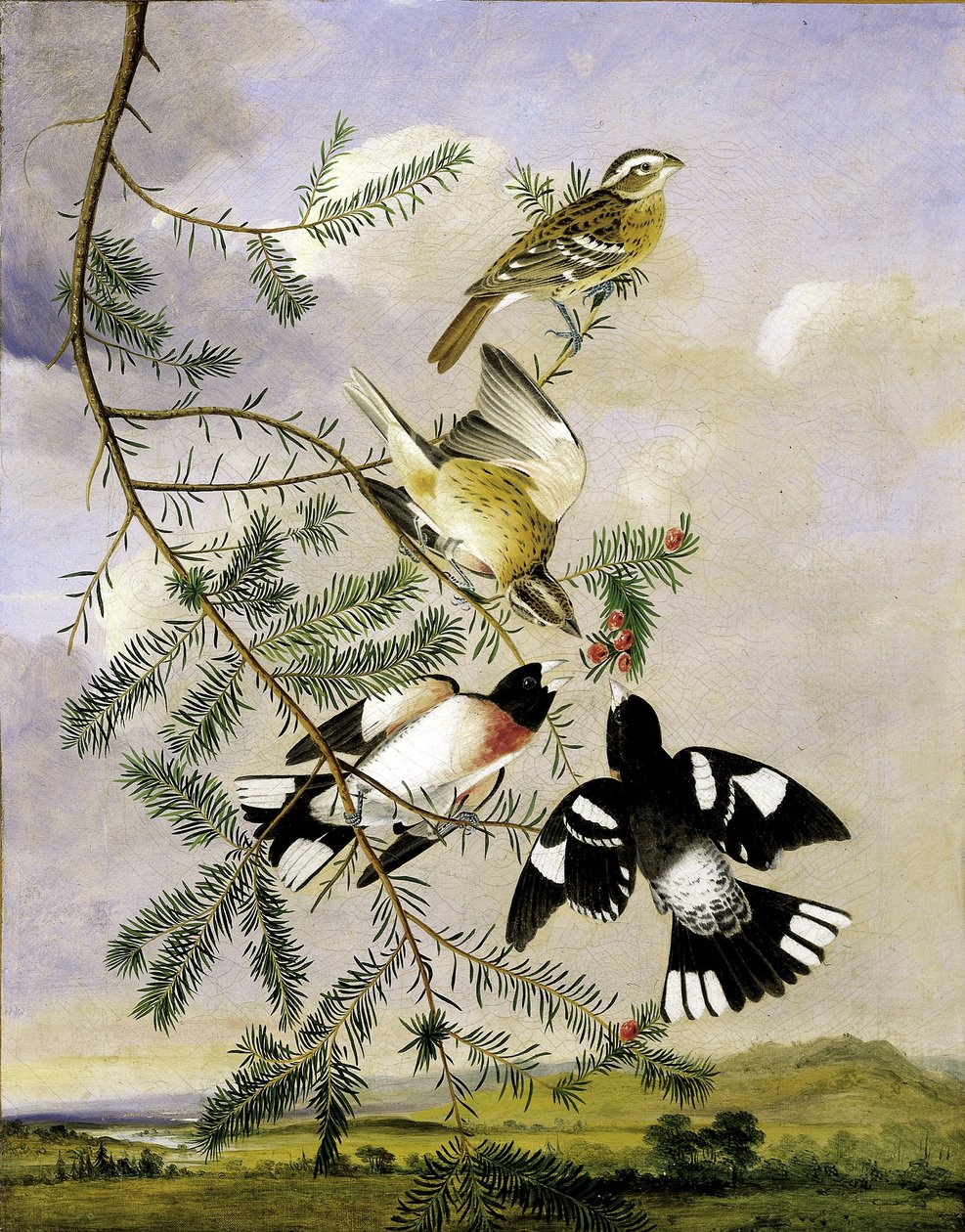  by Joseph Bartholomew Kidd